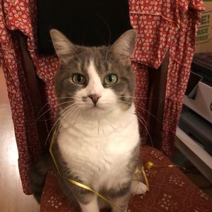 Meet your Posher, Kathie